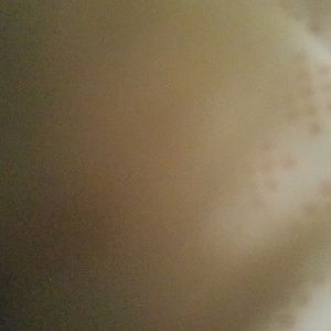 Meet your Posher, Ann